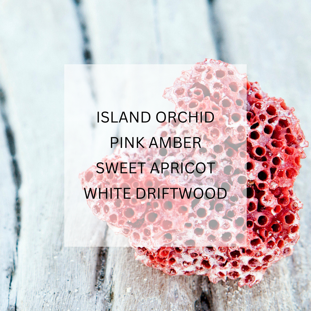 CORAL Roller Oil Perfume