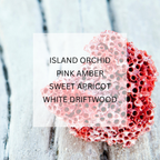 CORAL Roller Oil Perfume