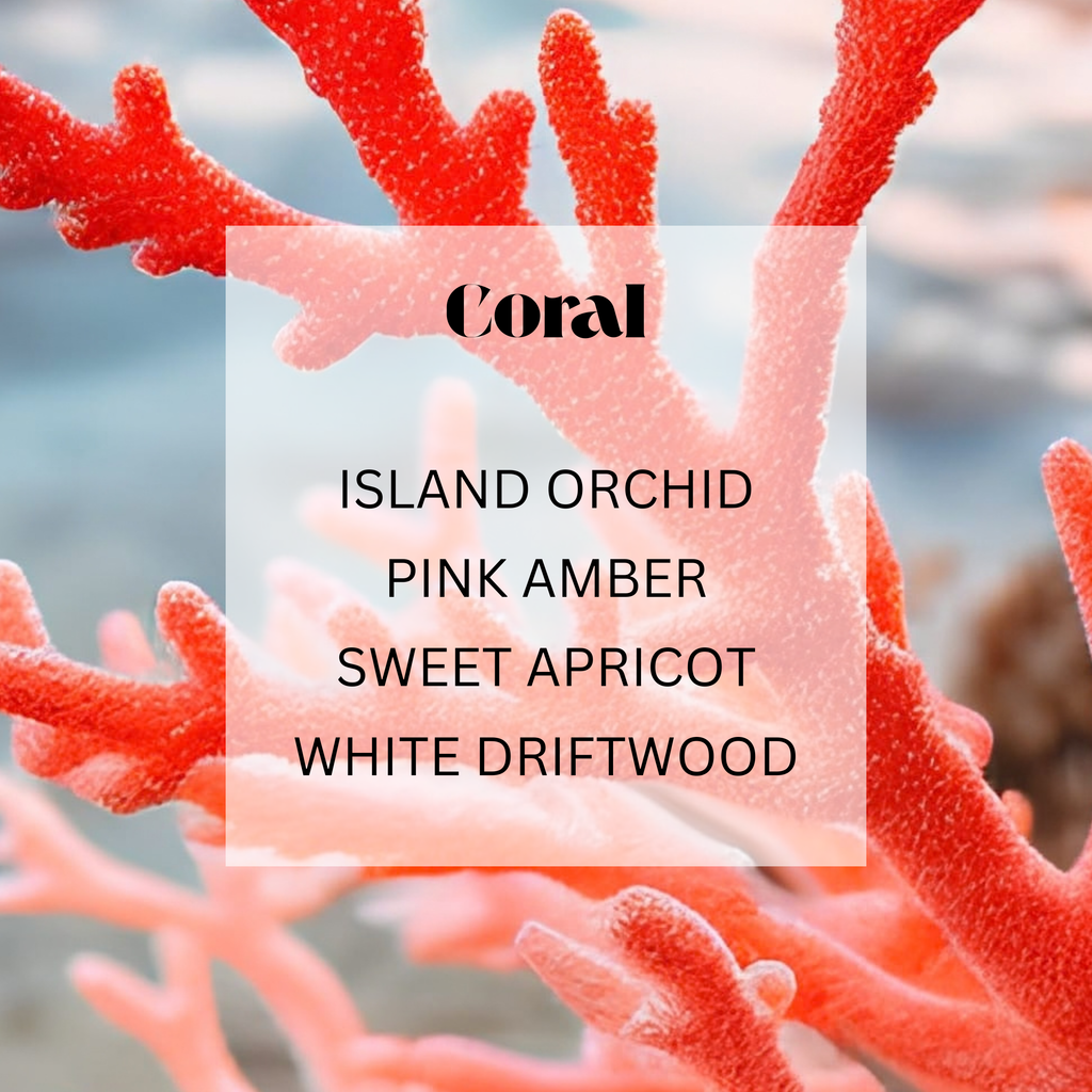 CORAL Everything Mist